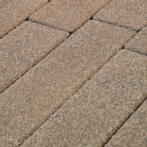 Тротуарная плитка Готика Premium Серия Gold Цвет 5