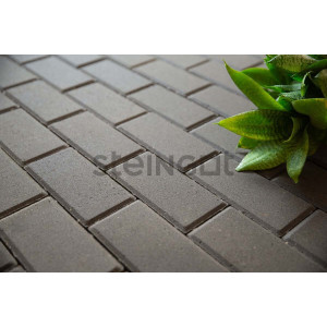 Тротуарная плитка Steingot Прямоугольник 200*100*80 Серый (полный прокрас)